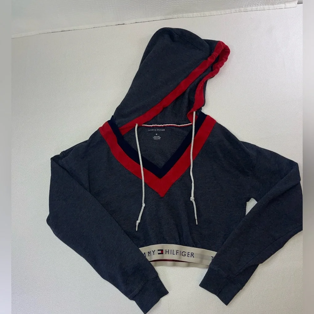 Tommy Hilfiger Cropped Pullover Hoodie Size Medium Vintage A - Picture 4 of 9